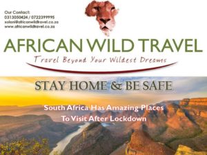 African Wild Travel