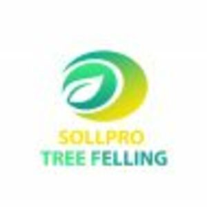 Sollpro Tree Felling