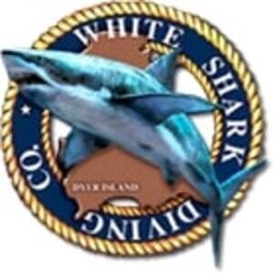 White Shark Diving Co