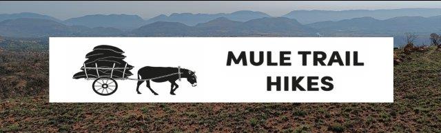 Mule Trail Hikes Logo