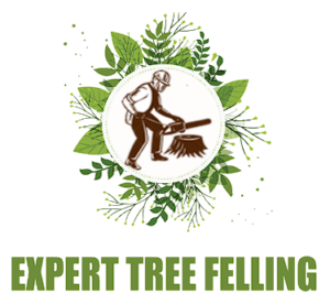 Expert Tree Felling