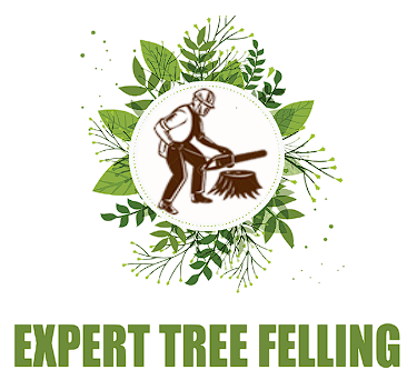 Logo-For-Expert-Tree-Felling-1